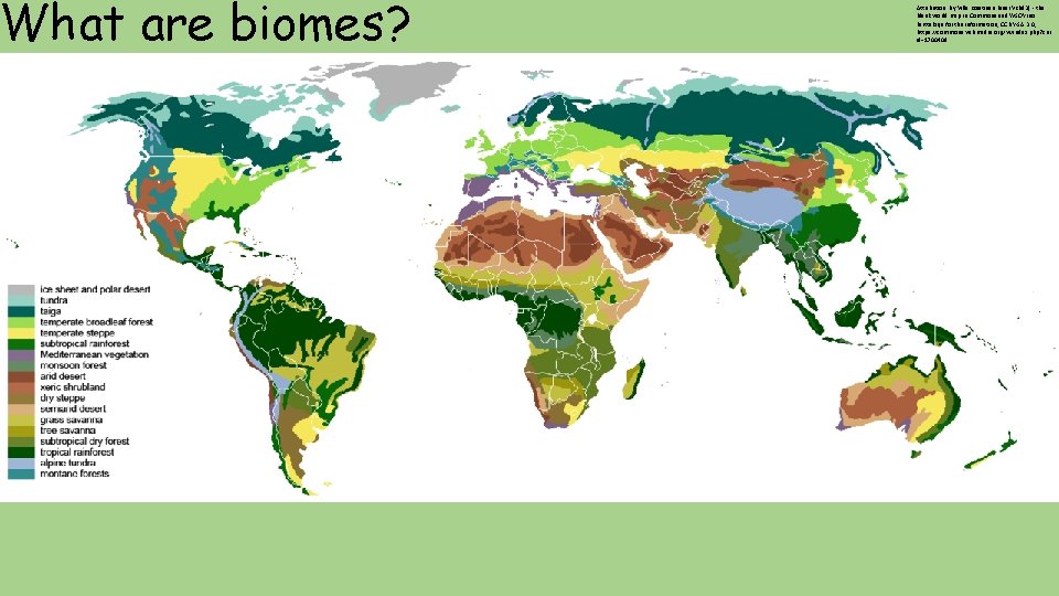 What are biomes? Attribution: By Ville Koistinen (user Vzb 83) - the blank world