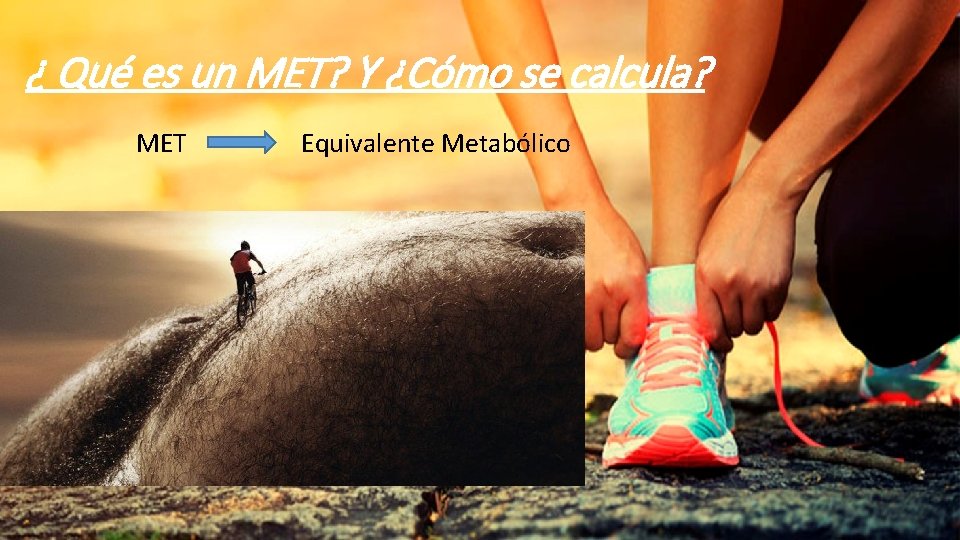 ¿ Qué es un MET? Y ¿Cómo se calcula? MET Equivalente Metabólico 