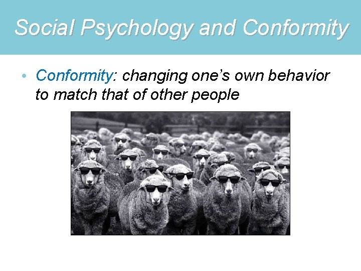 Social Psychology and Conformity • Conformity: changing one’s own behavior to match that of