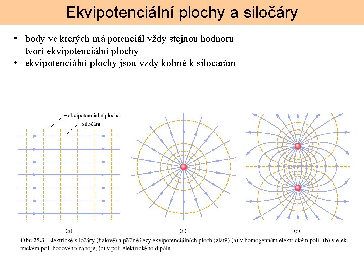 Ekvipotenciální plochy a siločáry • body ve kterých má potenciál vždy stejnou hodnotu tvoří