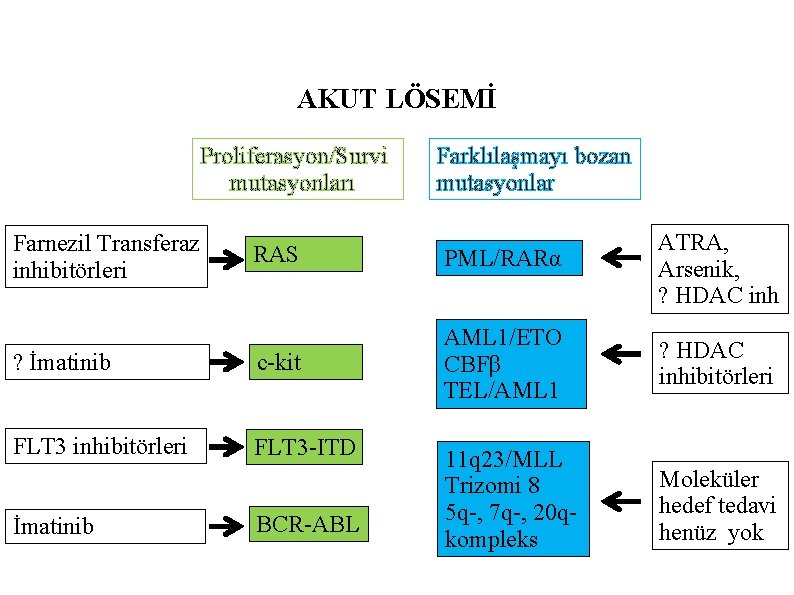 AKUT LÖSEMİ Proliferasyon/Survi mutasyonları Farklılaşmayı bozan mutasyonlar RAS PML/RARα ATRA, Arsenik, ? HDAC inh