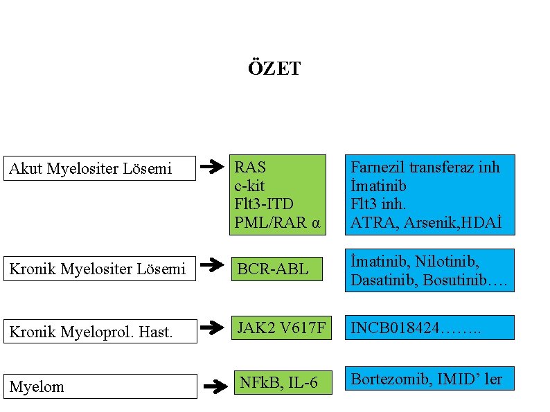 ÖZET Akut Myelositer Lösemi RAS Farnezil transferaz inh c-kit İmatinib Flt 3 -ITD Flt