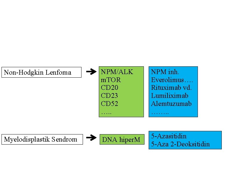 Non-Hodgkin Lenfoma NPM/ALK m. TOR CD 20 CD 23 CD 52 …. . NPM