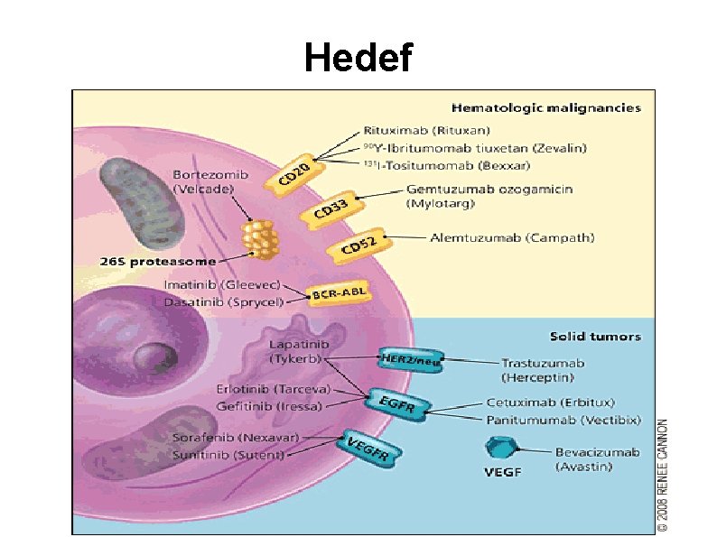 Hedef 