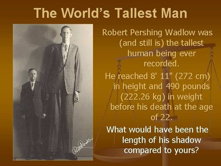 The World’s Tallest Man Robert Pershing Wadlow was (and still is) the tallest human