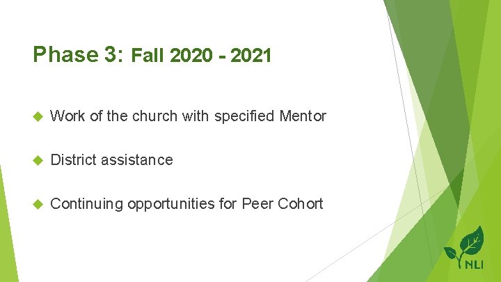 Phase 3: Fall 2020 - 2021 Work of the church with specified Mentor District