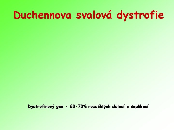 Duchennova svalová dystrofie Dystrofinový gen - 60 -70% rozsáhlých delecí a duplikací 