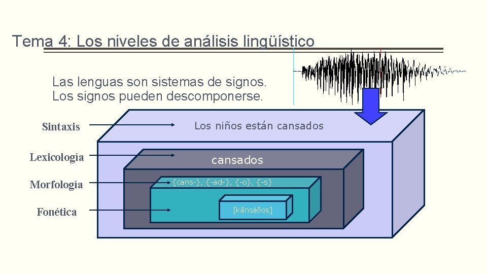 Tema 4: Los niveles de análisis lingüístico q Las lenguas son sistemas de signos.