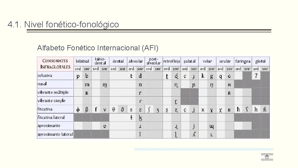 4. 1. Nivel fonético-fonológico q Alfabeto Fonético Internacional (AFI) 
