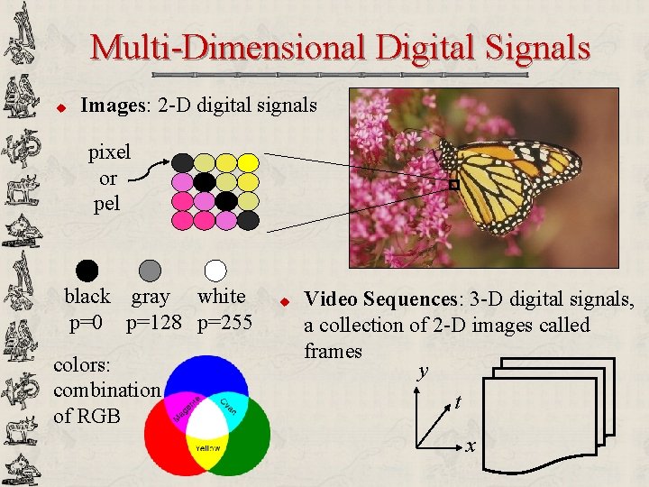 Multi-Dimensional Digital Signals u Images: 2 -D digital signals pixel or pel black gray