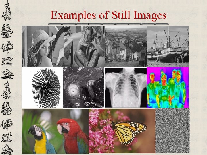 Examples of Still Images 