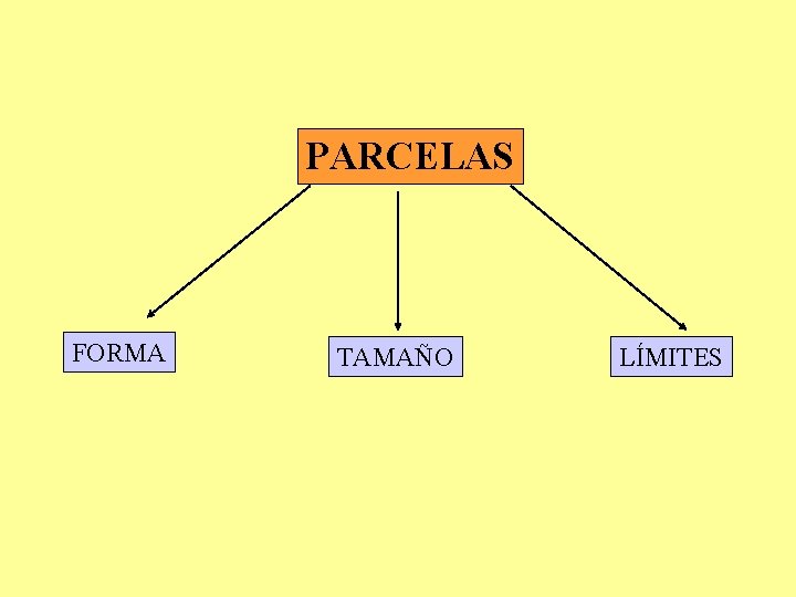 PARCELAS FORMA TAMAÑO LÍMITES 