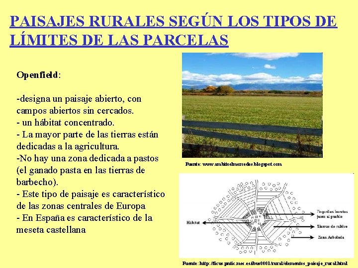 PAISAJES RURALES SEGÚN LOS TIPOS DE LÍMITES DE LAS PARCELAS Openfield: -designa un paisaje