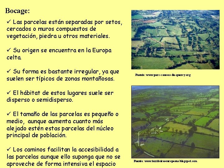 Bocage: ü Las parcelas están separadas por setos, cercados o muros compuestos de vegetación,