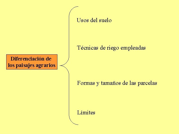 Usos del suelo Técnicas de riego empleadas Diferenciación de los paisajes agrarios Formas y