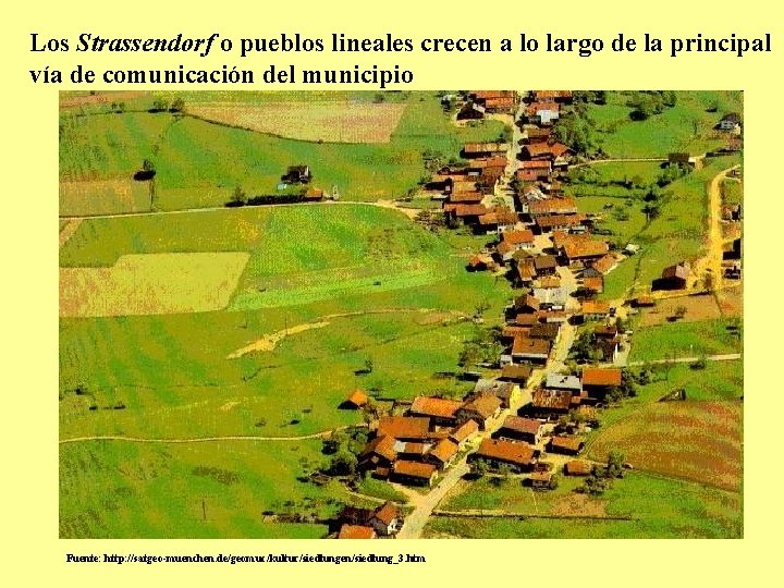 Los Strassendorf o pueblos lineales crecen a lo largo de la principal vía de