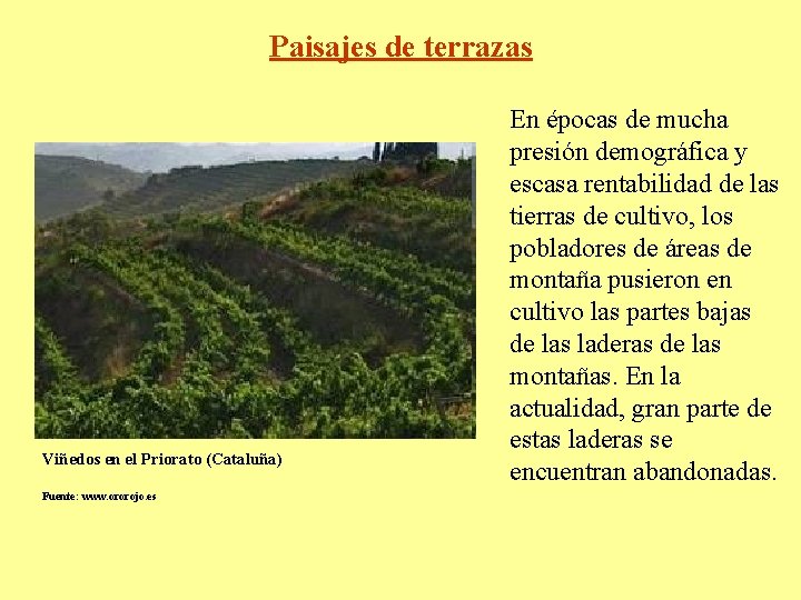 Paisajes de terrazas Viñedos en el Priorato (Cataluña) Fuente: www. ororojo. es En épocas