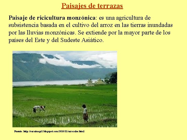 Paisajes de terrazas Paisaje de ricicultura monzónica: es una agricultura de subsistencia basada en
