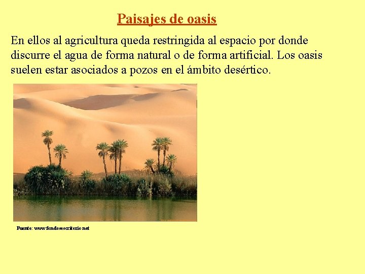 Paisajes de oasis En ellos al agricultura queda restringida al espacio por donde discurre
