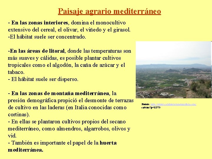 Paisaje agrario mediterráneo - En las zonas interiores, domina el monocultivo extensivo del cereal,