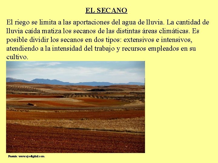 EL SECANO El riego se limita a las aportaciones del agua de lluvia. La