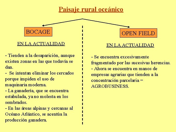 Paisaje rural oceánico BOCAGE OPEN FIELD EN LA ACTUALIDAD - Tienden a la desaparición,