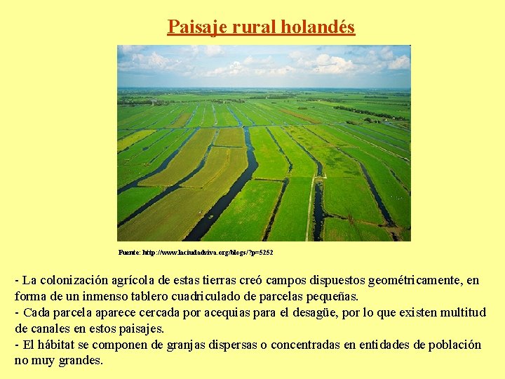 Paisaje rural holandés Fuente: http: //www. laciudadviva. org/blogs/? p=5252 - La colonización agrícola de