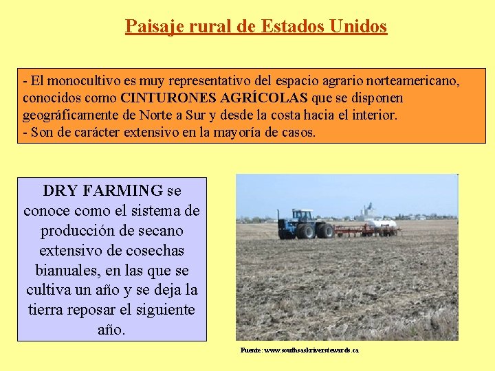 Paisaje rural de Estados Unidos - El monocultivo es muy representativo del espacio agrario