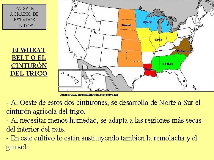 PAISAJE AGRARIO DE ESTADOS UNIDOS El WHEAT BELT O EL CINTURÓN DEL TRIGO Fuente: