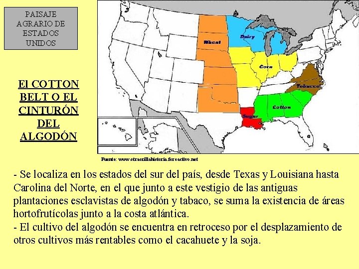 PAISAJE AGRARIO DE ESTADOS UNIDOS El COTTON BELT O EL CINTURÓN DEL ALGODÓN Fuente: