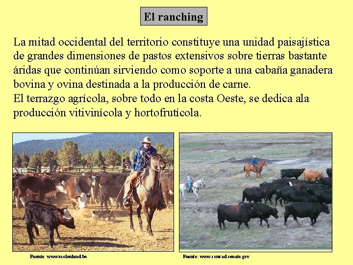 El ranching La mitad occidental del territorio constituye una unidad paisajística de grandes dimensiones