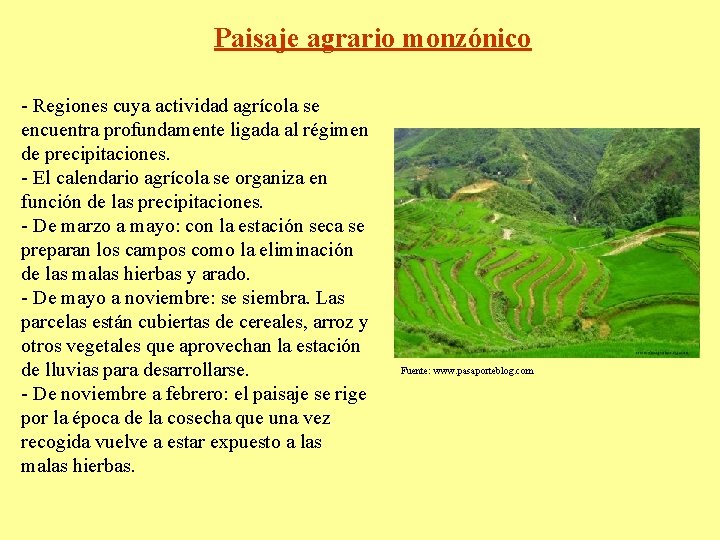 Paisaje agrario monzónico - Regiones cuya actividad agrícola se encuentra profundamente ligada al régimen