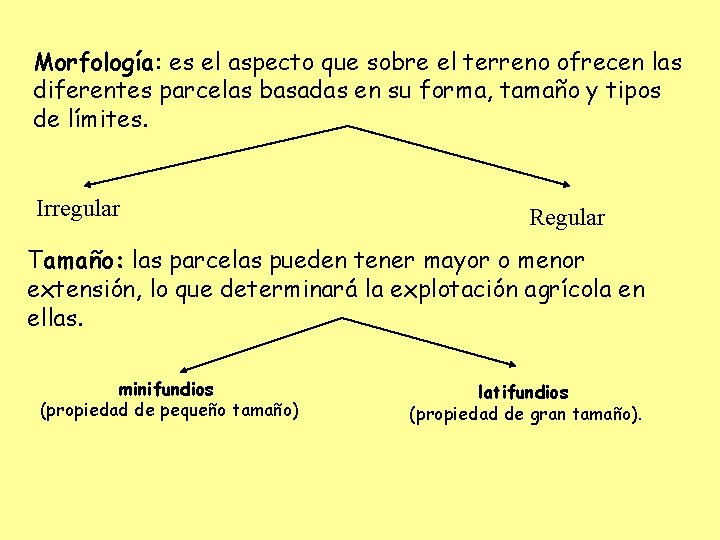 Morfología: es el aspecto que sobre el terreno ofrecen las diferentes parcelas basadas en