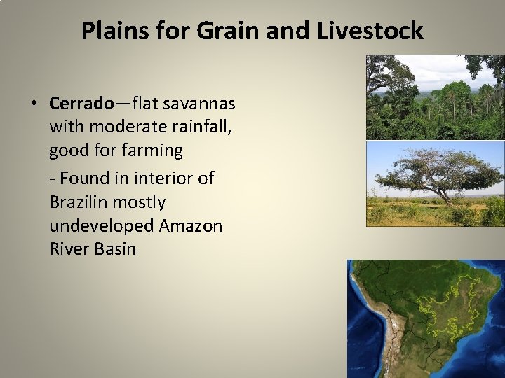 Plains for Grain and Livestock • Cerrado—flat savannas with moderate rainfall, good for farming