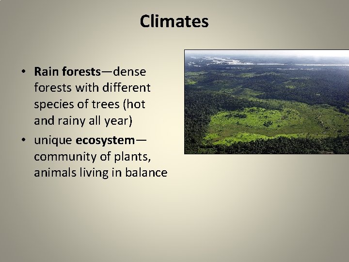 Climates • Rain forests—dense forests with different species of trees (hot and rainy all