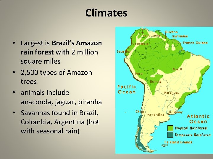 Climates • Largest is Brazil’s Amazon rain forest with 2 million square miles •