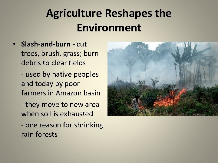  Agriculture Reshapes the Environment • Slash-and-burn - cut trees, brush, grass; burn debris