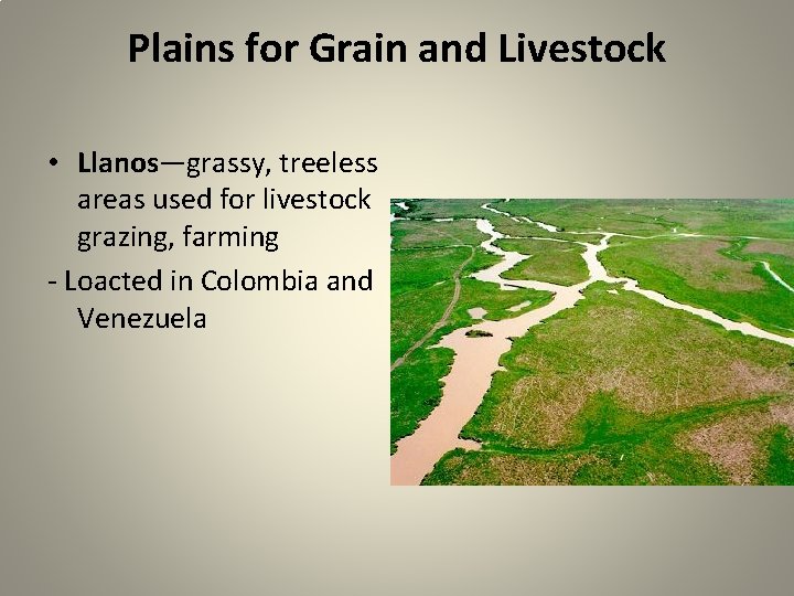Plains for Grain and Livestock • Llanos—grassy, treeless areas used for livestock grazing, farming