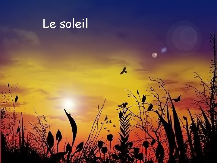 Le soleil 