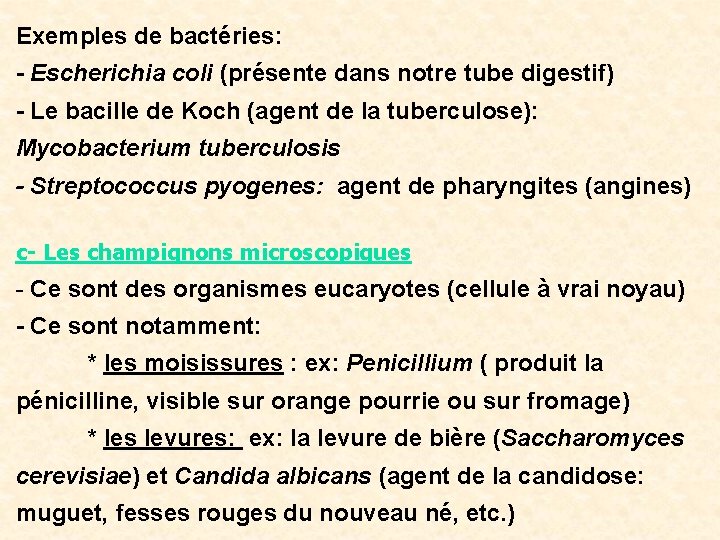 Exemples de bactéries: - Escherichia coli (présente dans notre tube digestif) - Le bacille
