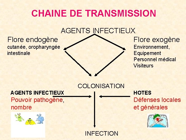 CHAINE DE TRANSMISSION AGENTS INFECTIEUX Flore endogène Flore exogène cutanée, oropharyngée intestinale Environnement, Equipement