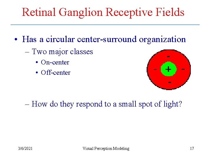 Retinal Ganglion Receptive Fields • Has a circular center-surround organization – Two major classes