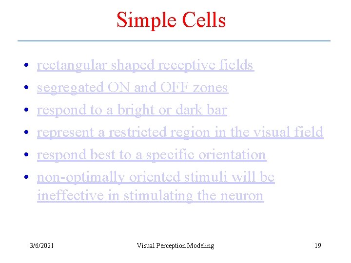 Simple Cells • • • rectangular shaped receptive fields segregated ON and OFF zones