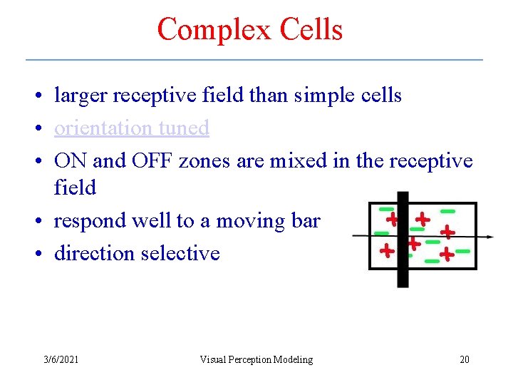 Complex Cells • larger receptive field than simple cells • orientation tuned • ON