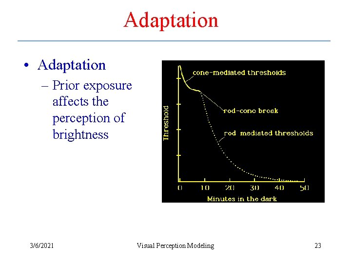 Adaptation • Adaptation – Prior exposure affects the perception of brightness 3/6/2021 Visual Perception