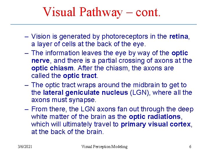 Visual Pathway – cont. – Vision is generated by photoreceptors in the retina, a