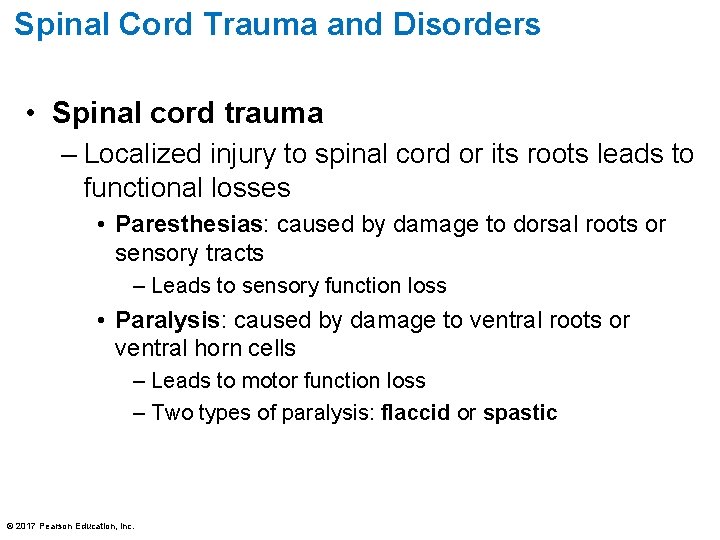 Spinal Cord Trauma and Disorders • Spinal cord trauma – Localized injury to spinal