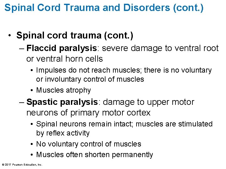 Spinal Cord Trauma and Disorders (cont. ) • Spinal cord trauma (cont. ) –