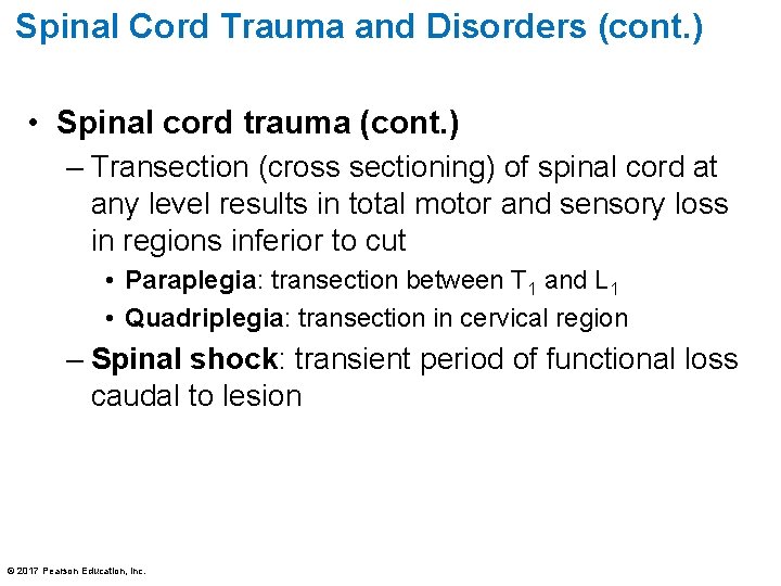 Spinal Cord Trauma and Disorders (cont. ) • Spinal cord trauma (cont. ) –