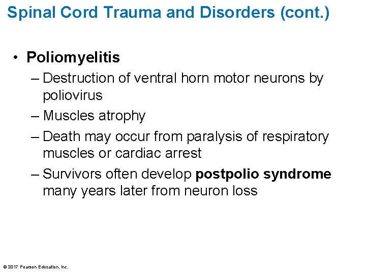 Spinal Cord Trauma and Disorders (cont. ) • Poliomyelitis – Destruction of ventral horn